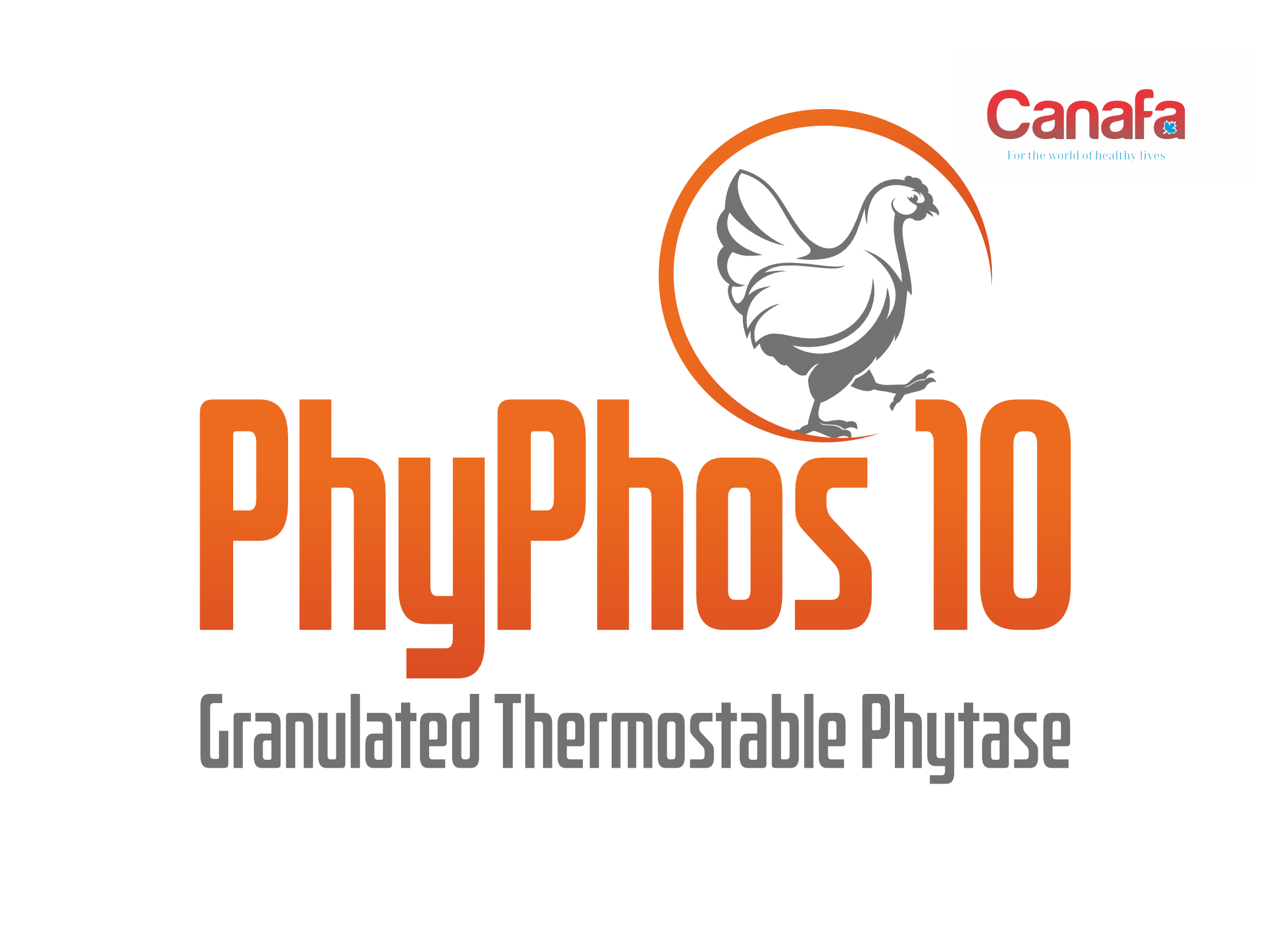 PhyPhos-10.png